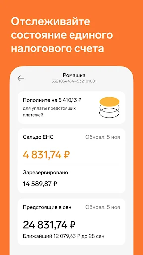 Контур.Экстерн screenshot 3