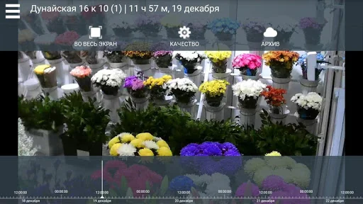 МегаКом Видеонаблюдение screenshot 2