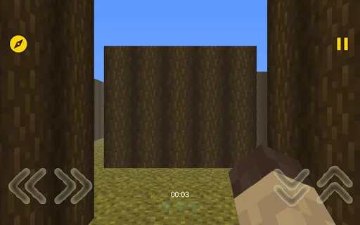 Mine Maze 3D