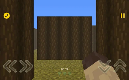 Mine Maze 3D