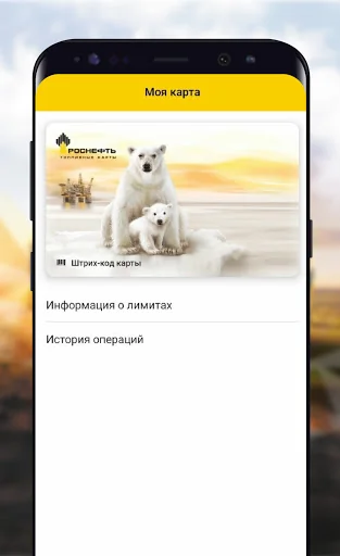РН-Карт screenshot 1