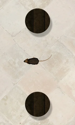 Mouse on the Screen for a Cat