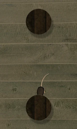 Mouse on the Screen for a Cat