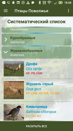 Птицы Поволжья screenshot 3