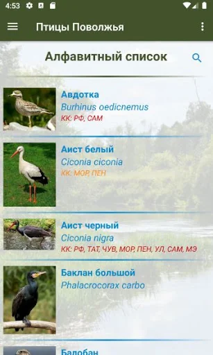 Птицы Поволжья screenshot 4