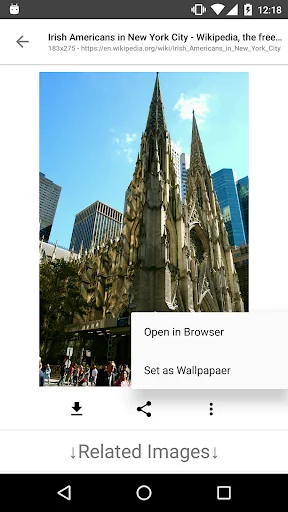 ImageSearchMan - Image Search screenshot 4