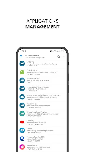 Package Manager