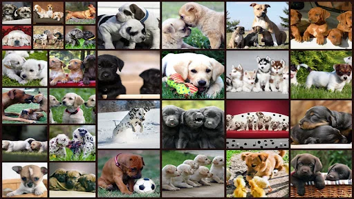 Puzzle Games Dogs Jigsaw