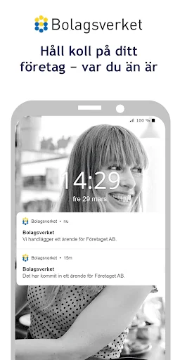 Bolagsverket – håll koll på di