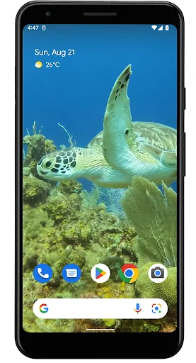 Sea Turtle. Live wallpaper. screenshot 1