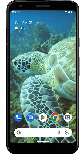 Sea Turtle. Live wallpaper. screenshot 2