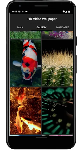 Sea Turtle. Live wallpaper. screenshot 3