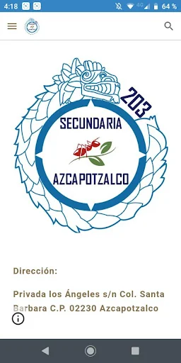 Secundaria 203