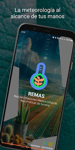 REMAS