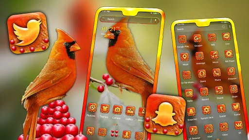 Cardinal Bird Launcher Theme