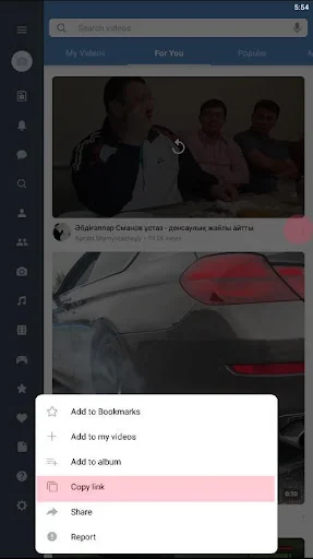 Video downloader for Vkontakte