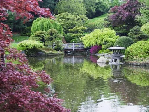 Beautiful Garden