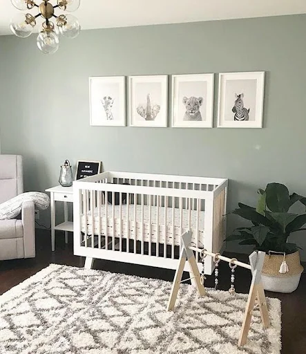 Unisex Baby Room Ideas