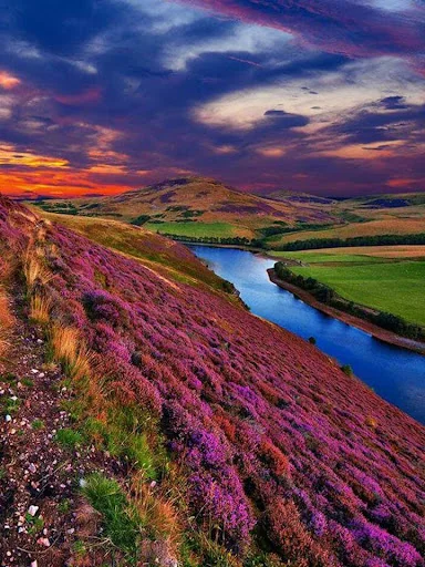 Landscape Puzzle Jigsaw screenshot 1