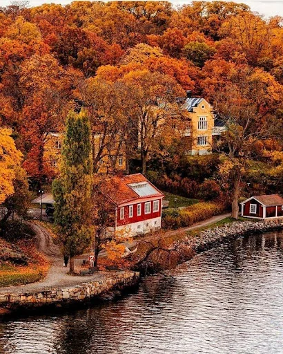 Jigsaw Puzzles Real Jigsaws