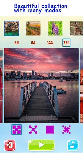 Jigsaw Puzzles for Adults