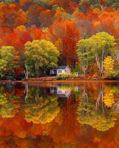Puzzles & Jigsaws Pro
