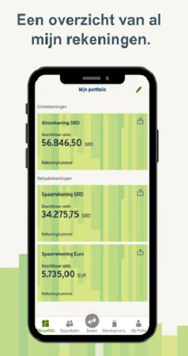 DSB | Mobile Banking screenshot 4