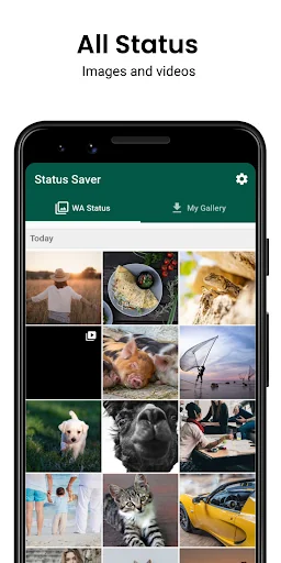 Status Video Download - Story 
