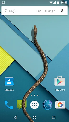Snake On Screen Hissing Joke
