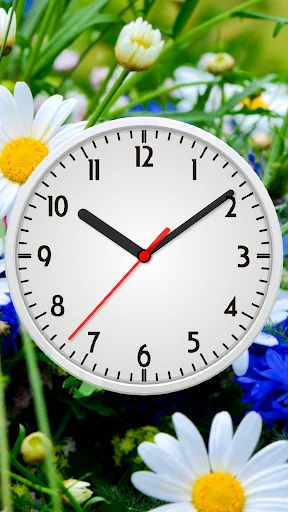Skin Analog Clock-7 screenshot 3