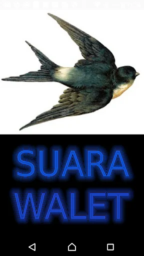 Suara Panggil Burung Walet