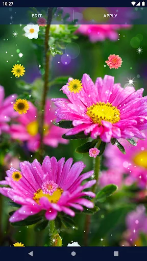HD Summer Live Wallpaper screenshot 4