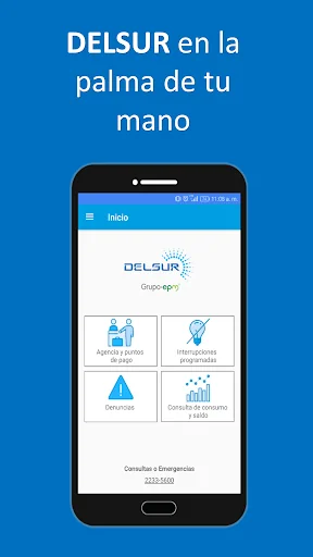 Delsur