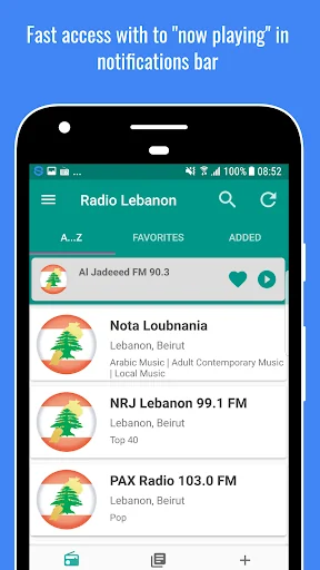 Radio Lebanon screenshot 4