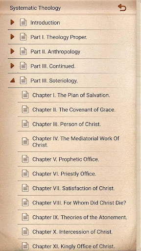 Systematic Theology screenshot 3