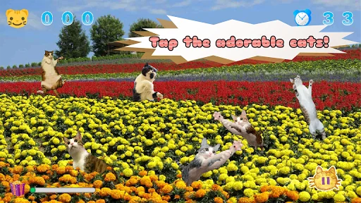 Jumping Cat - touch & tap