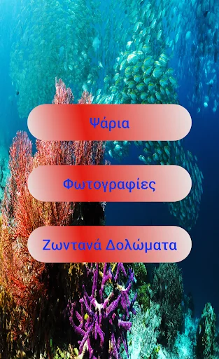 Τα ψάρια της Κύπρου