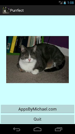 Purrfect-Sponsored