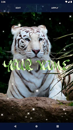 Tiger Live Wallpapers screenshot 2