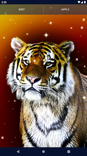 Tiger Live Wallpapers screenshot 4