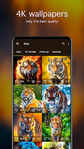 Tiger Wallpapers 4K screenshot 2