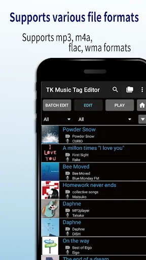 TK Music Tag Editor -Complete- screenshot 1