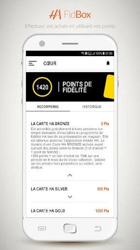 HA FidBox screenshot 3