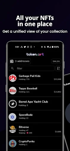 token.art: NFT Wallet Viewer