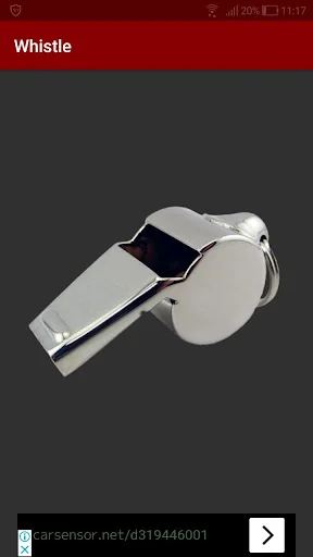 Whistle