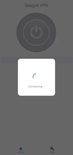 Seagull VPN-Easy and reliable! screenshot 3