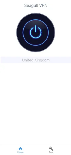 Seagull VPN-Easy and reliable! screenshot 4