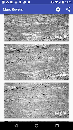 Mars Robots