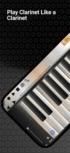 Professional Clarinet