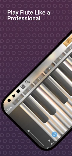 Professional Flute